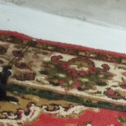 ��������, 53 ����, �����-���������