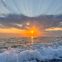 ���� �����, ���� - ��������� 14 ��� 2026 � ������ ���� ����������