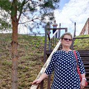 �����, 66 ���, ����������