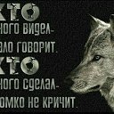 ���� ������, ������, 39 ��� - ��������� 4 ������� 2026 � ������ ���� ����������