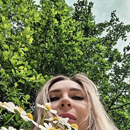 ���������, ���������, 41 ���