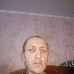 , 40, 