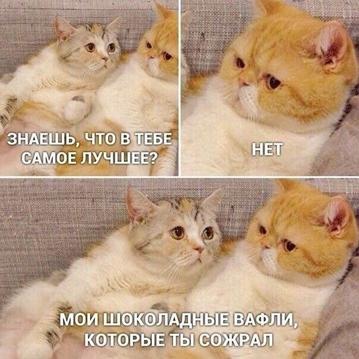 ? ,  ! - 19  2025  20:53