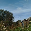 ���� ��, ������������, 38 ��� - ��������� 25 ������� 2025 � ������ ���� ����������