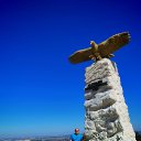 ���� ������, �����, 44 ���� - ��������� 7 ������ 2026