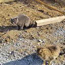 ���� Ivan, ������, 59 ��� - ��������� 29 ������ 2025 � ������ ������ ��������