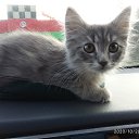 ���� �������, ������, 55 ��� - ��������� 13 ������� 2024 � ������ ������ ��������