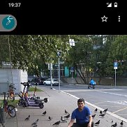 Tolik, 41 , 