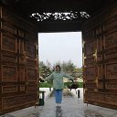 ���� ������, ���������, 67 ��� - ��������� 19 ������� 2026