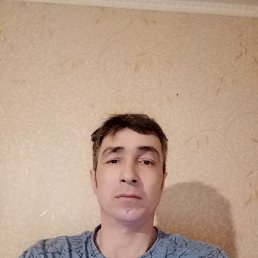 , 41, 