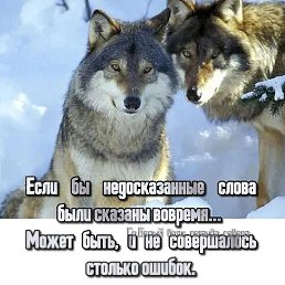 �������, ���������, 38 ���