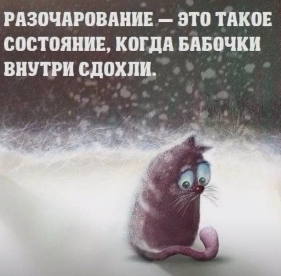 Рецепты - 21 марта 2025 в 21:59