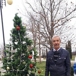 ���� ������., �����������, 65 ��� - ��������� 10 ������ 2024