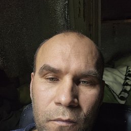 , 44,  