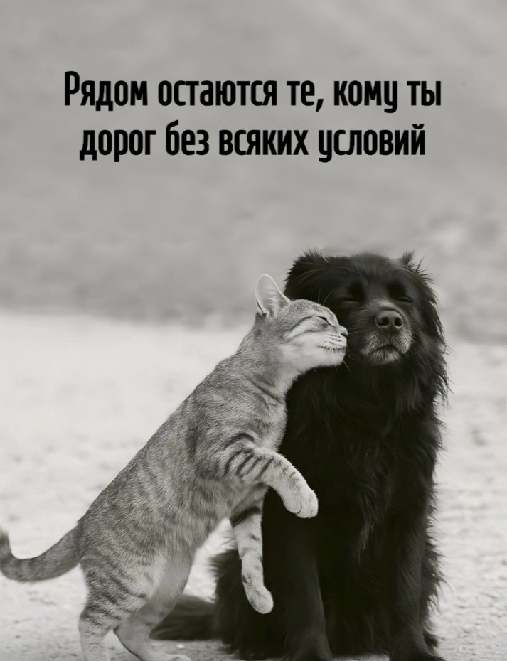  - 13  2025  12:39