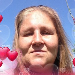 ��������, ������, 43 ����