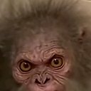 ���� ... � � � �..., ������������, 48 ��� - ��������� 19 ������ 2025