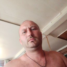 , 33, 