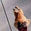 ���� ����, ������, 35 ��� - ��������� 7 ���� 2025 � ������ ���� ����������