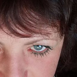 �������, �����������, 43 ����