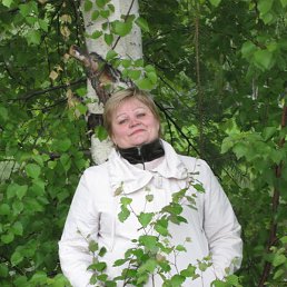 ����, ������, 66 ���