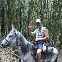 ���� �����, ������������, 66 ��� - ��������� 26 ����� 2026