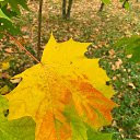 ���� ����������, ������ ��������, 53 ���� - ��������� 21 �������� 2025 � ������ ������ ��������