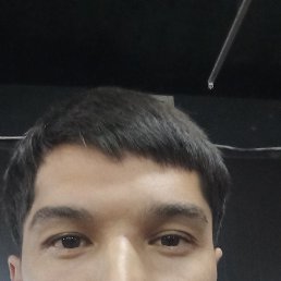 , 37, 