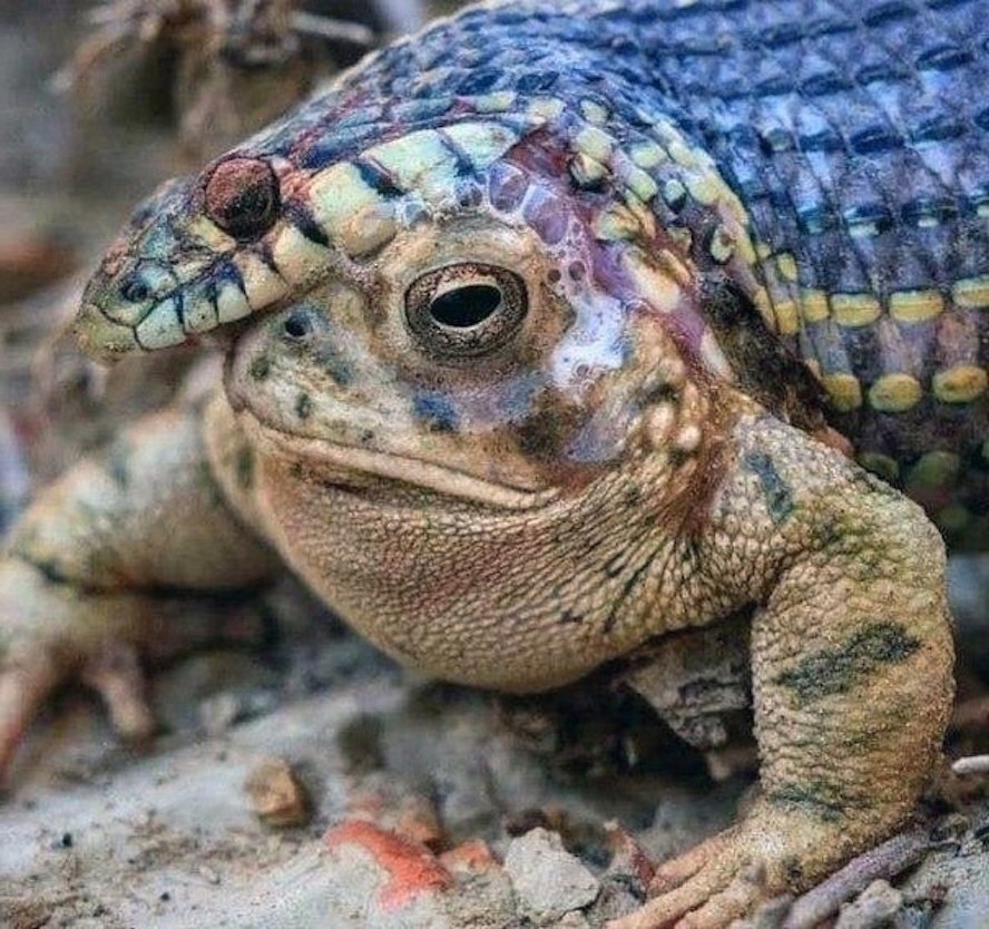 ,  ,    .