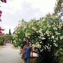 ���� �������, �������, 50 ��� - ��������� 21 ������� 2024 � ������ ���� ����������