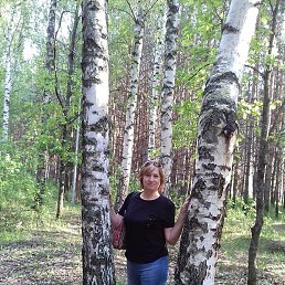 ������, ���������� �����, 64 ����