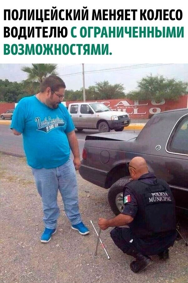 ���� ������� ������ ��� ����������