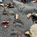 ���� �����, ����, 56 ��� - ��������� 24 ������ 2025 � ������ ������ ��������