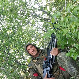 ������, ������, 38 ���