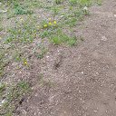 ���� ������, ���������, 42 ���� - ��������� 29 ��� 2025 � ������ ���� ����������