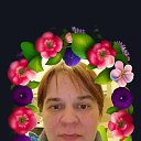  , -, 50  -  20  2023