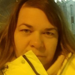 ����, �������, 41 ���