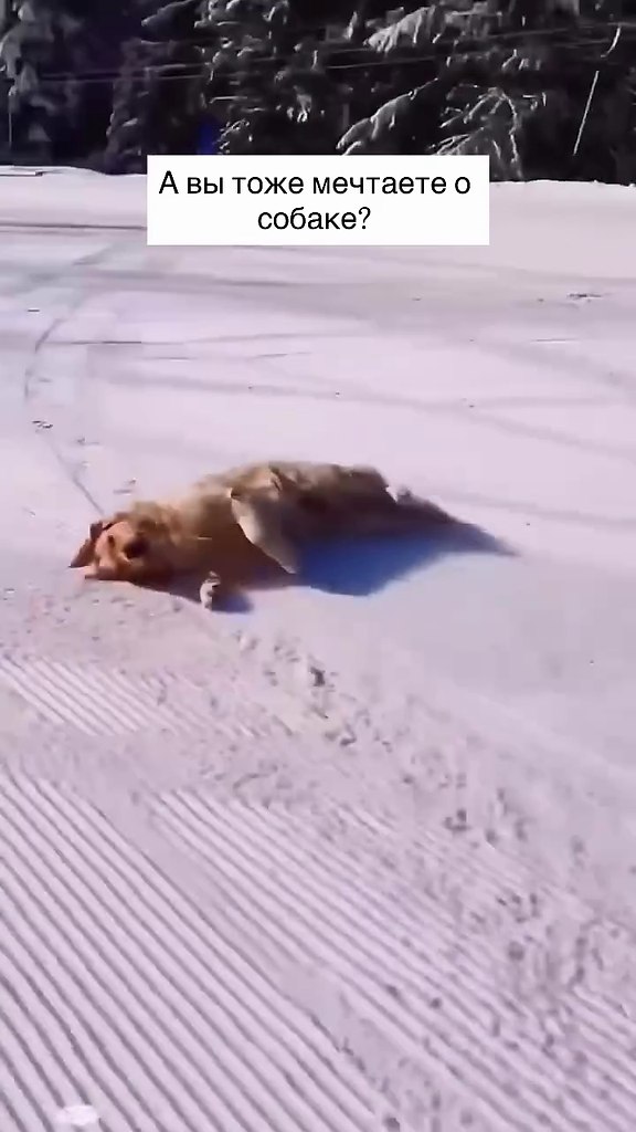 �� ������ ��� ����� ����� � �������