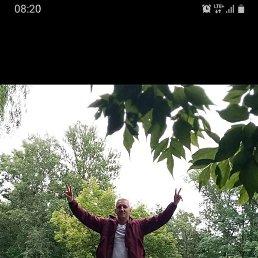 �����, �����, 43 ����