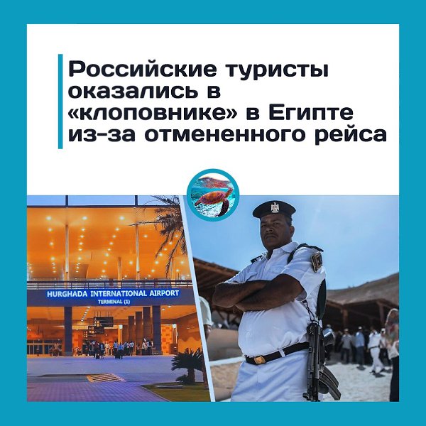 «Клоповник» вместо рейса: россияне застряли в Египте из-за отмены вылета.Пассажиры рейса Хургада — ...
