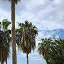 ���� ������, ��������, 55 ��� - ��������� 1 ������ 2025 � ������ ���� ����������