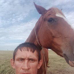 ����, 41 ���, ����
