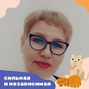 ���� ���������, ���������� - ��������� 22 ������� 2024 � ������ ���� ����������