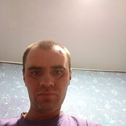 , 33, 