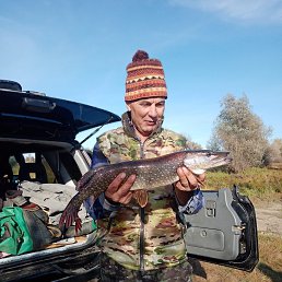 , 55, 