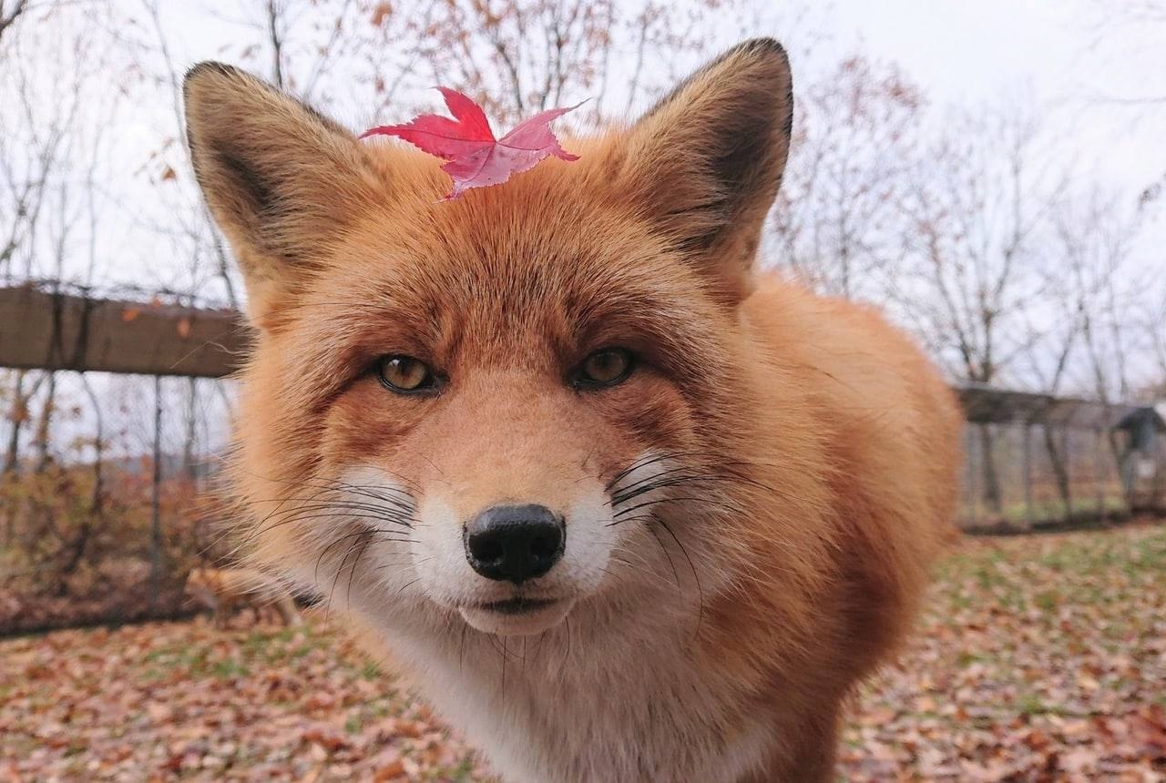 �������� - 16 ������� 2025 � 10:25