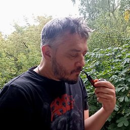 ������, �����, 46 ���