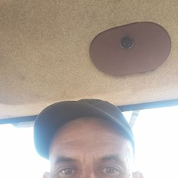 , 41, 