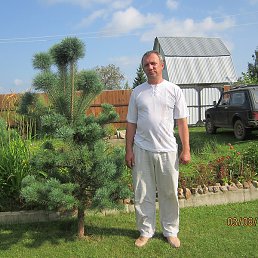 ������, �����, 55 ���