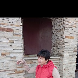 �����, ���������, 54 ����